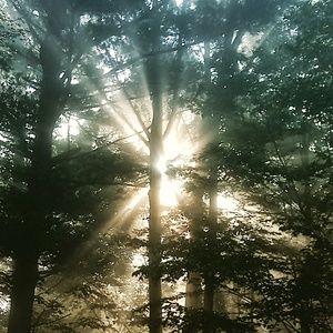 Meet your Posher, Martha